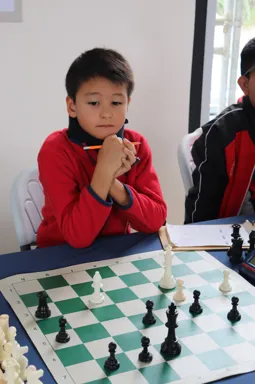 Imagen del torneo